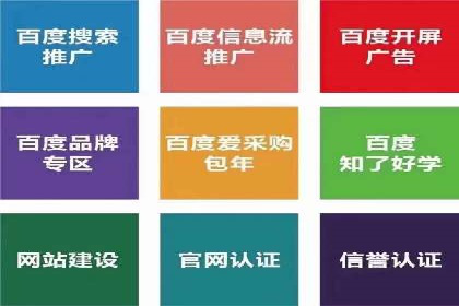 某知名品牌SEM广告投放的创意与执行